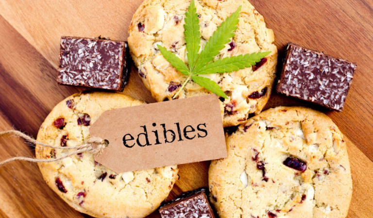 Can You Travel With CBD Edibles