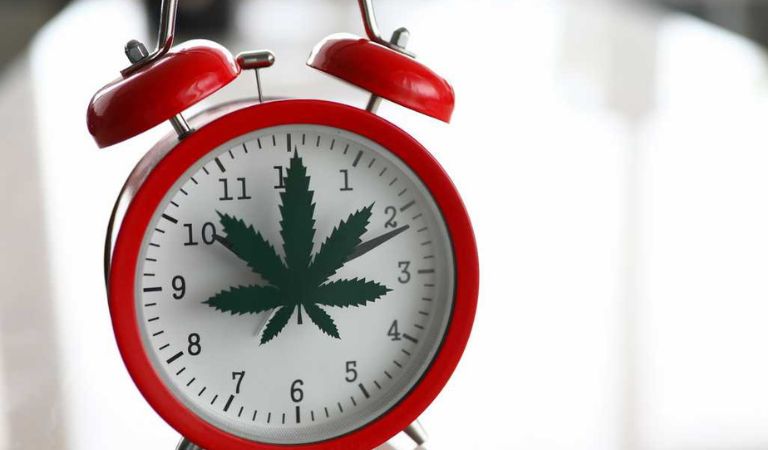 How Long Does it Take for CBD to Work?