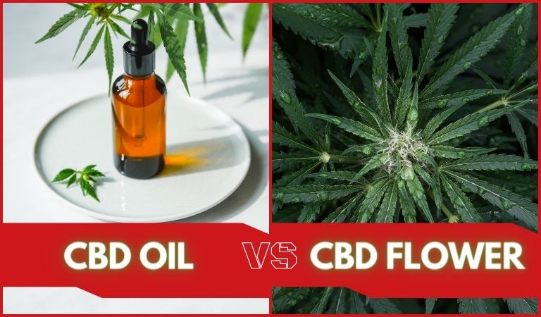 CBD Oil Vs. CBD Flower: Which One Is Stronger?