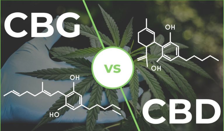 What Is CBG Vs. CBD