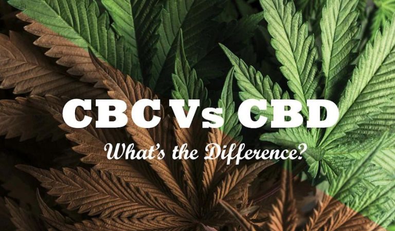 CBD VS CBC: Understanding The Difference Between Them