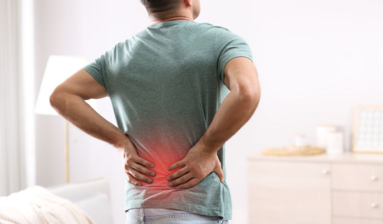 CBD Gummies For Back Pain