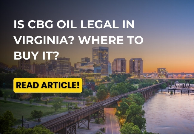 Is CBG Oil Legal In Virginia? Where to Buy It?-read on healthy vibez online