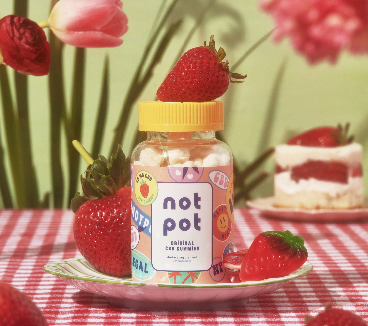 Not Pot Strawberry CBD Gummies– Best for Vegan Lovers